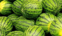 西瓜甜特效的吃瓜爆料,吃瓜爆料背后的惊人真相